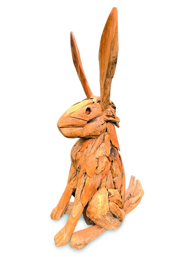 Teak root hare garden - root,