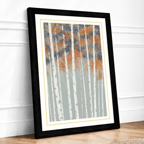 Birch forest canopy - forest, botanical