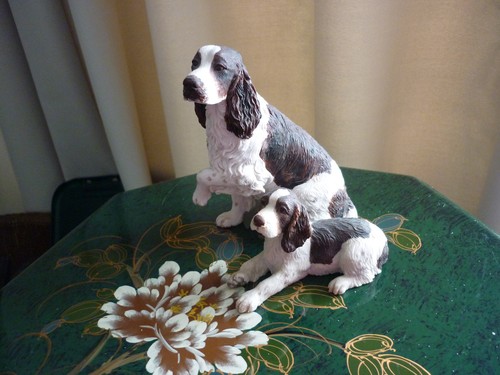 Border fine arts - fine, springer