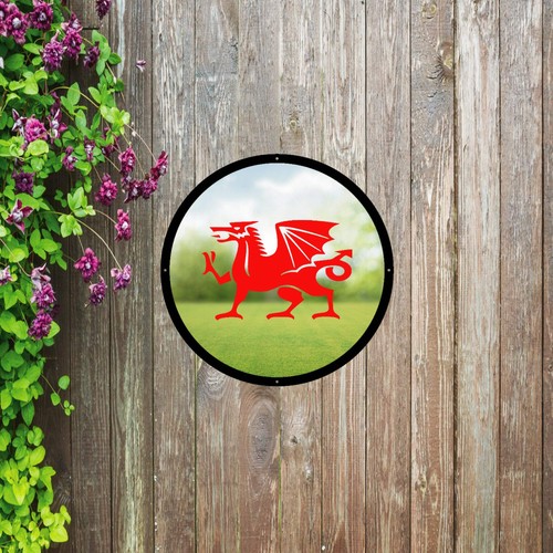 Acrylic welsh dragon garden - welsh,