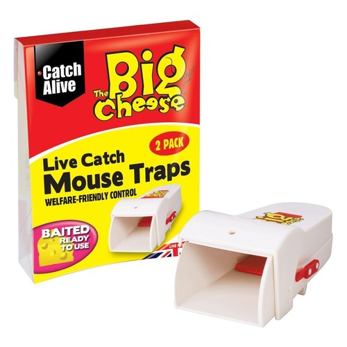 Brand new pack - brand,