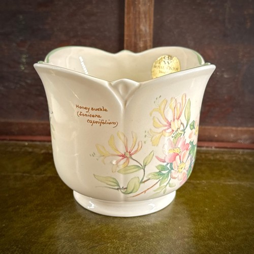 Royal winton plant pot - royal, vase