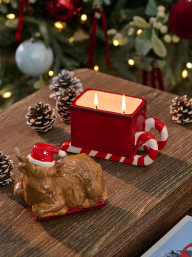 Next festive spice decorative - festive,
