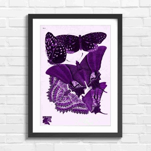 Vintage botanical butterfly - botanical,