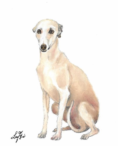 Original oil dog - original,