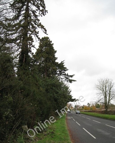 Photo 6x4 warwick road - photo,