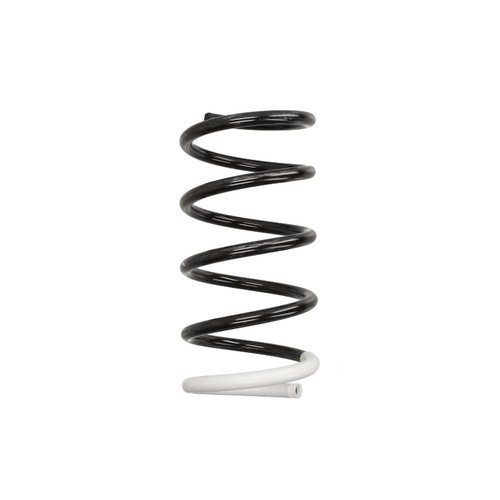 Coil spring rear fits - rear, l/r
