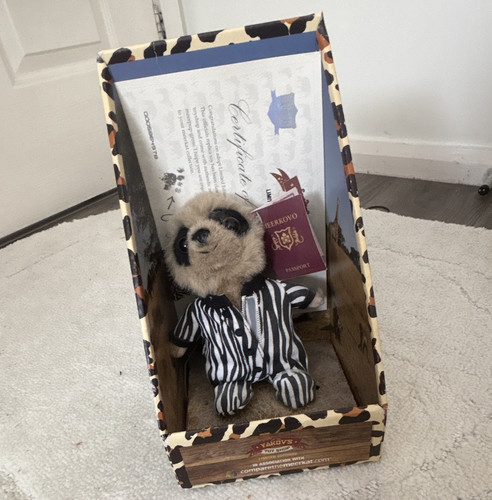 Compare the market safari - compare, oleg