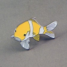 YELLOW - GOLD AND WHITE COY