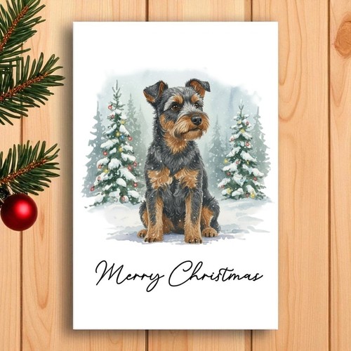 Australian terrier christmas - terrier,