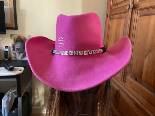 Harley davidson rare - harley, pink