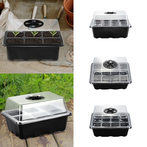 Seed trays pack seedling - trays,