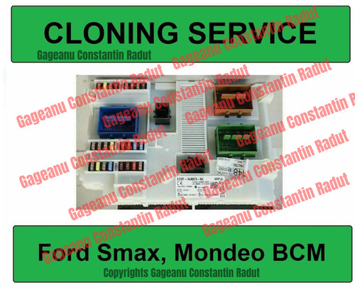 Cloning service for - cloning,