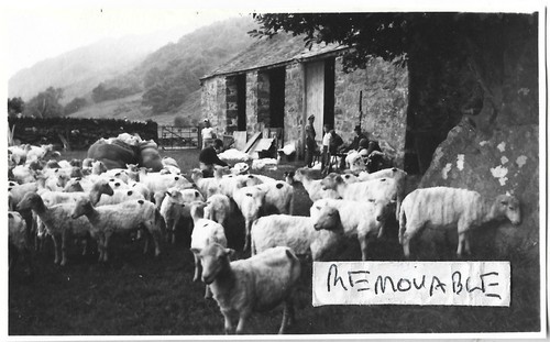 Vintage old photo - vintage,