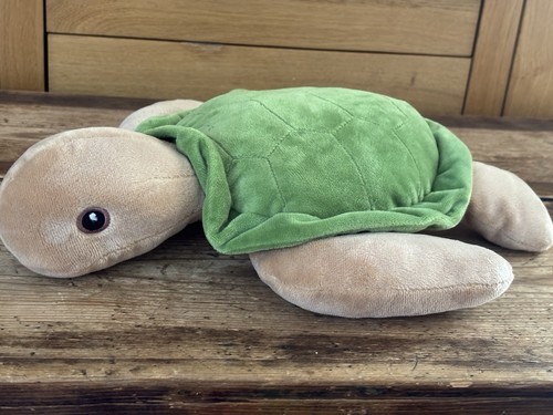 Ravensden green sea turtle