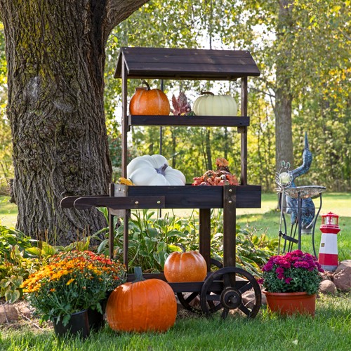 Flower cart display stand with - display,