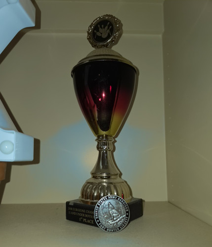 2008 eurozone championships - 2008,