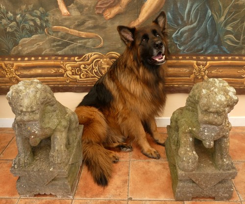 Temple dogs marble - dogs, 2