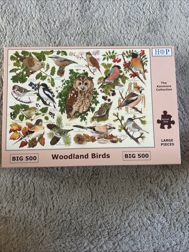 The house puzzles big 500 - the,