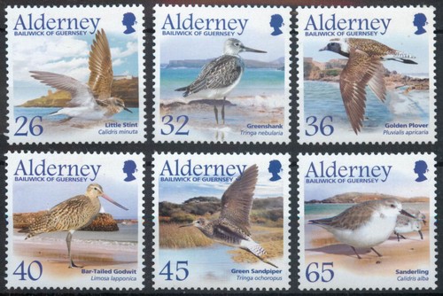 Alderney 2005 migrating birds - alderney,