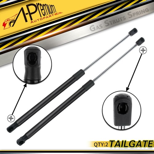 Premium tailgate gas - 2x,