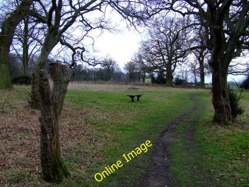 Photo 6x4 stockwood - photo,