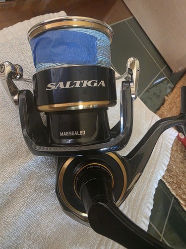 Daiwa saltiga 20000h - saltiga,