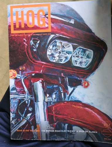 Harley davidson enthusiast hog - davidson,