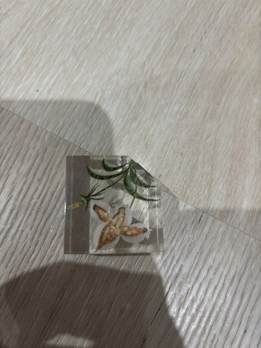 Vintage clear resin or - resin, (or