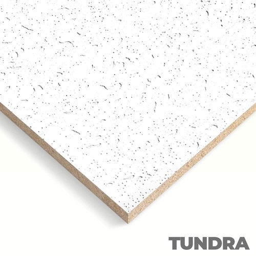 Suspended ceiling tiles tundra - ceiling,