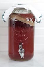 XL Organic Mature Scoby Kombucha with liquid starter from experienced seller