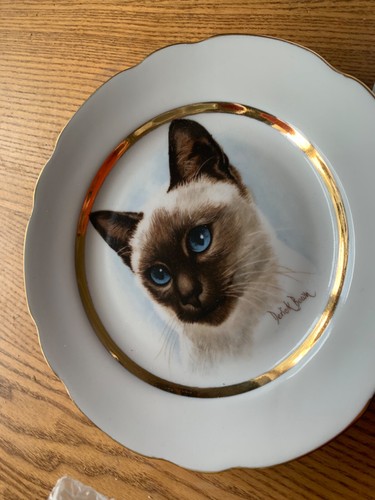 Siamese cat plate decorative - plate-,
