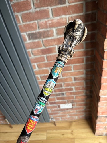 Walking stick with - walking,