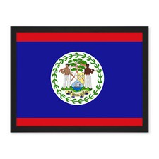 Belize National Flag World Flags Country Poster Framed Art Picture Print 18X24