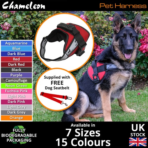 Dog harness non - harness, soft