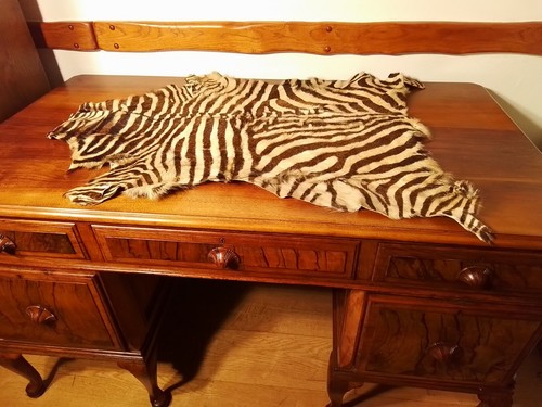 Antique zebra animal - zebra, hide