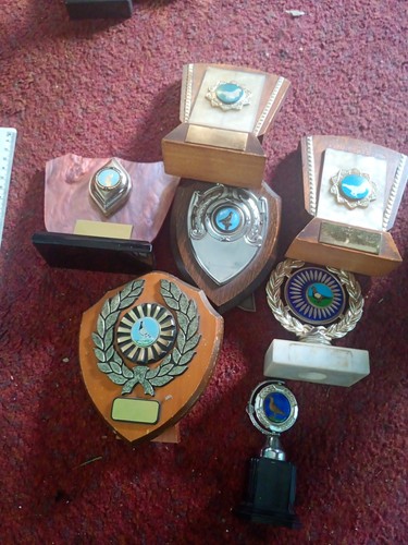 Pigeon racing trophies - trophies,