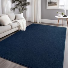 Soft Rug for Living Room, 5x7