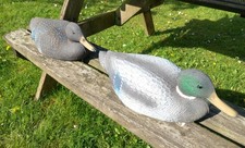 Floating Duck Decoys, Mallard