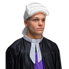 Wicked Judge Washington Wig