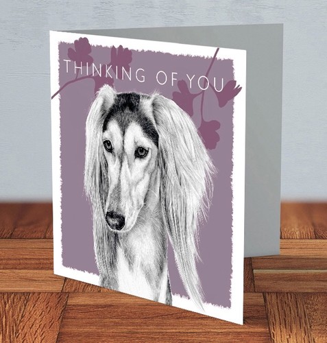 Saluki dog breed thinking - saluki,