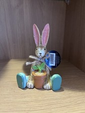 Sitting Brown Bunny Rabbit