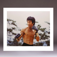 Enter The Dragon, Limited