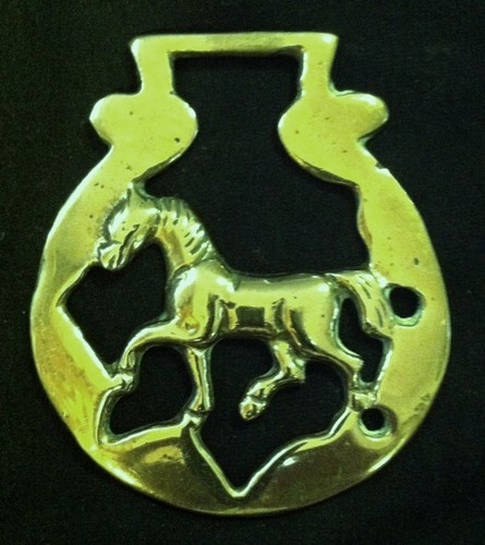 Wonderful trotting horse - horse, in