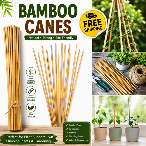 7 ft bamboo garden - 2,
