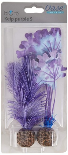 46079 kelp set small - kelp,