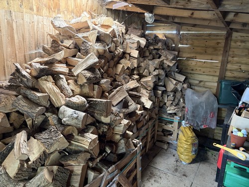 Ash wood fire - ,