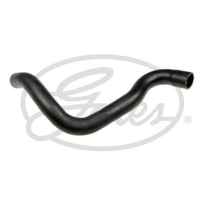 Radiator hose for nissan - radiator,
