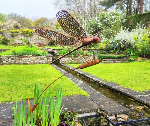 Metal dragonfly garden - dragonfly,