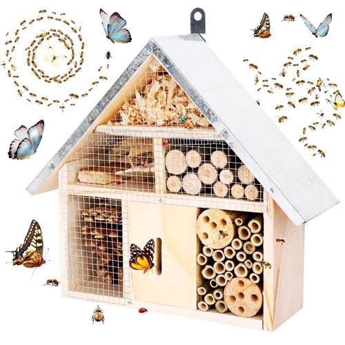 Wooden bee hotel insect - bee, house